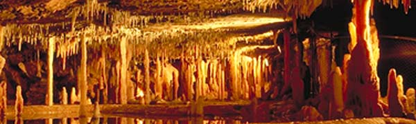 Park photo: Buchan Caves Reserve